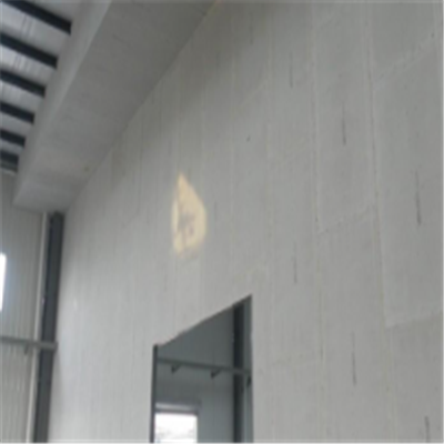 聊城宁波ALC板|EPS加气板隔墙与混凝土整浇联接的实验研讨